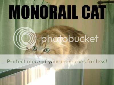 monorailcat.jpg